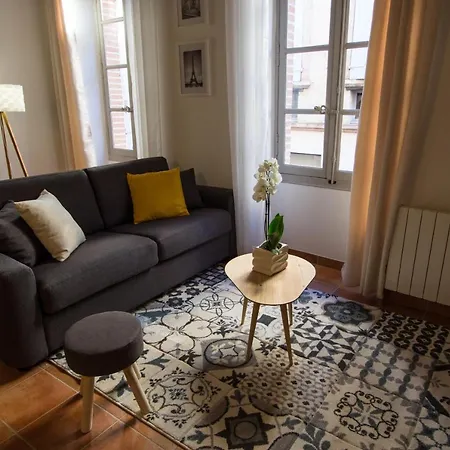 En Toute Intimite Dans Le Centre Historique * Montauban