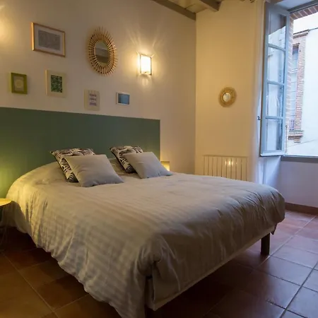 En Toute Intimite Dans Le Centre Historique * Montauban