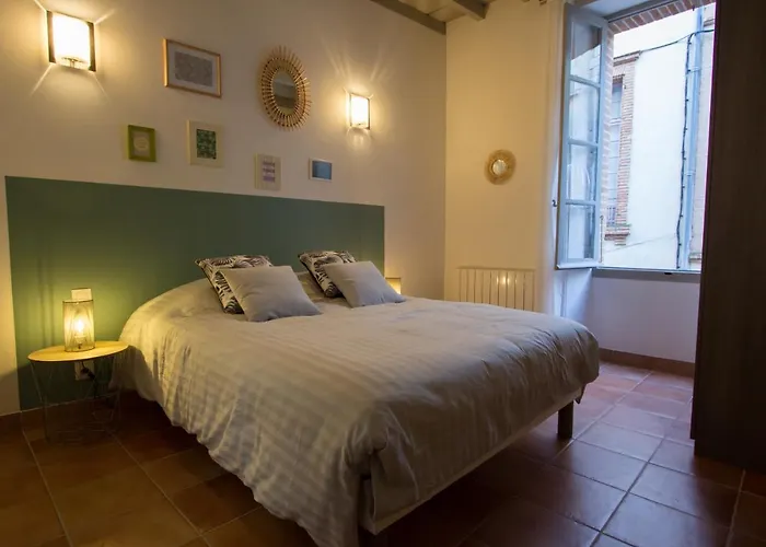 En Toute Intimite Dans Le Centre Historique * 몽토방